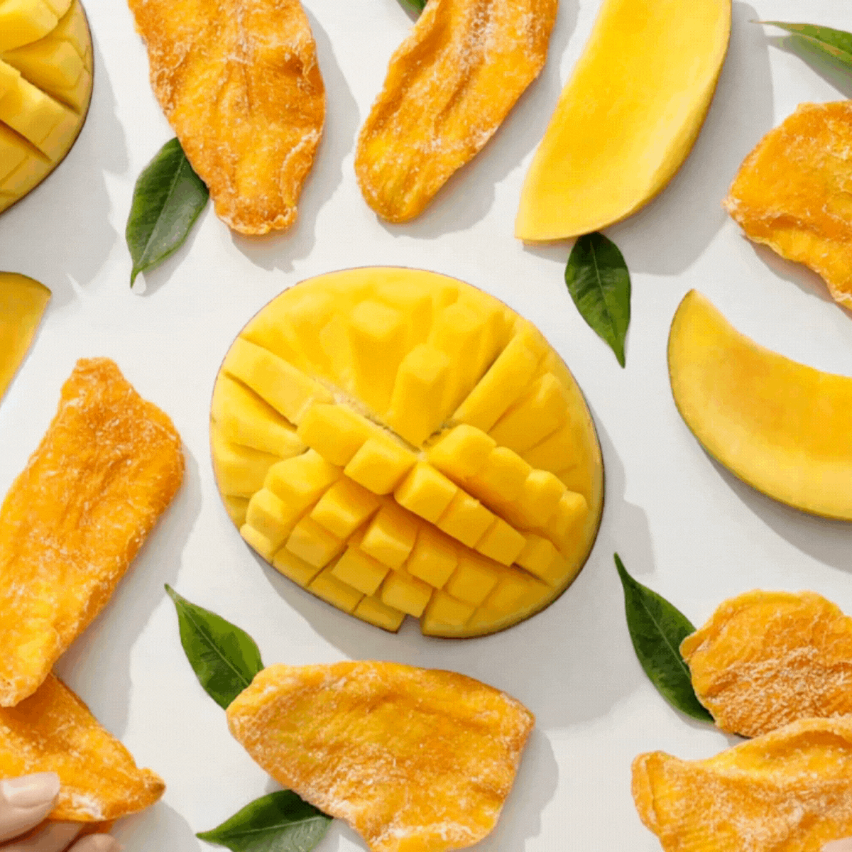 gif mango